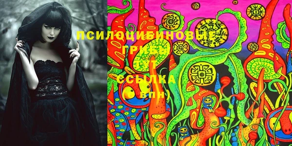 бошки Белокуриха