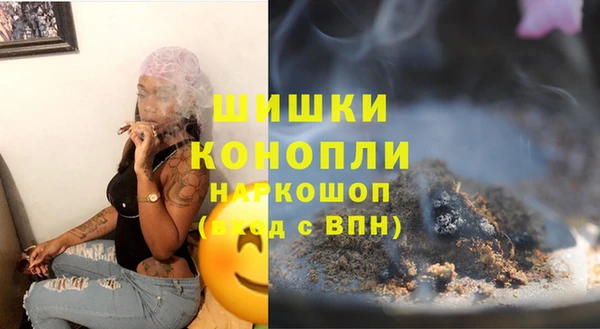бошки Белокуриха