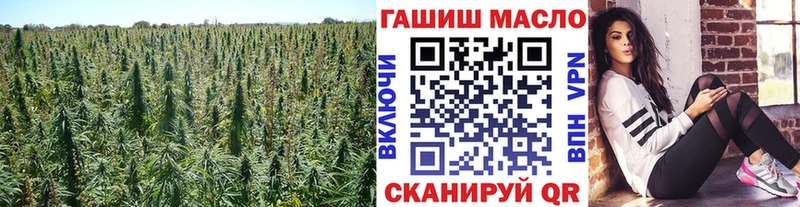 как найти   Курильск  Дистиллят ТГК вейп 